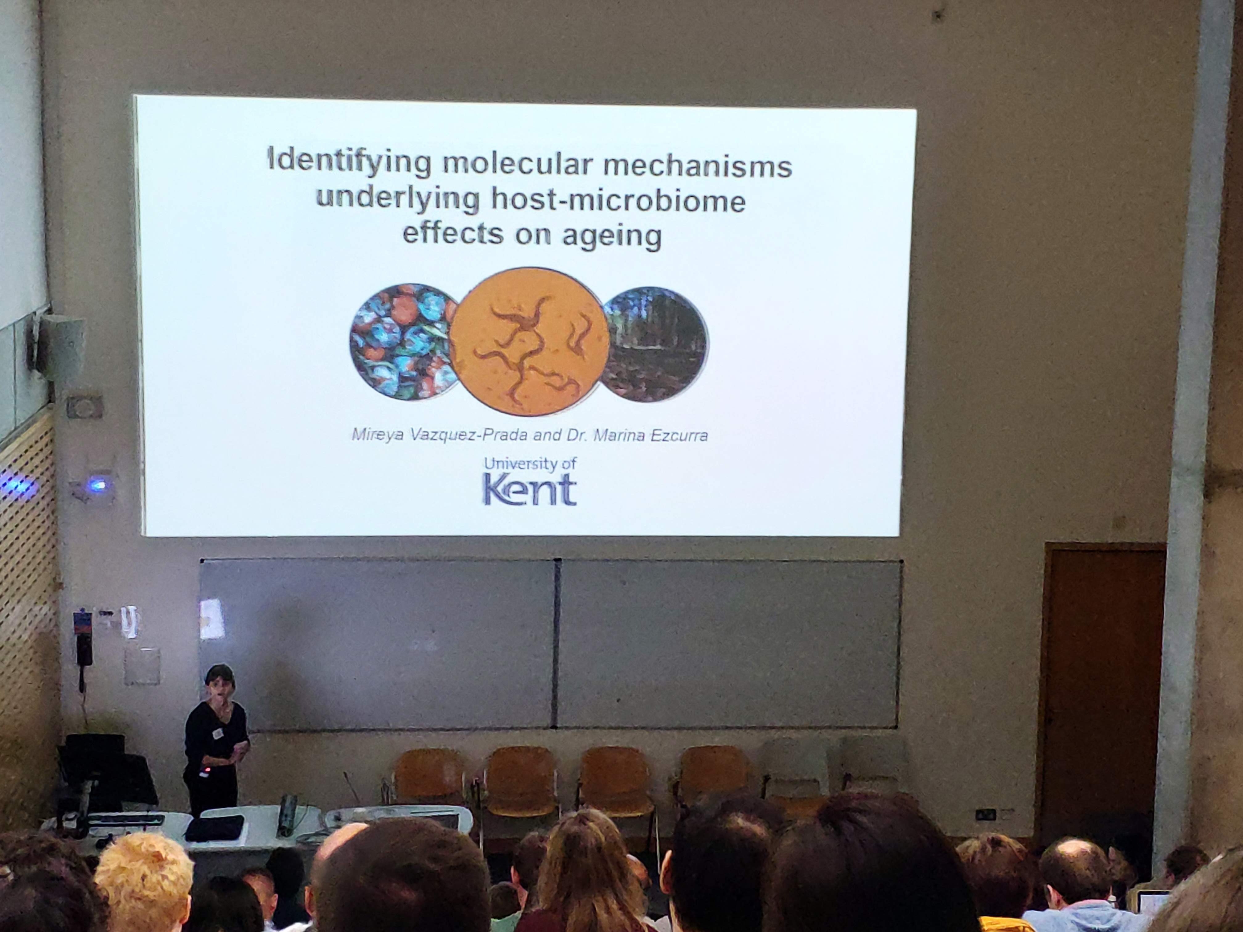 mireya UK Worm Meeting 2019